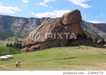Giant Turtle Rock 128649776
