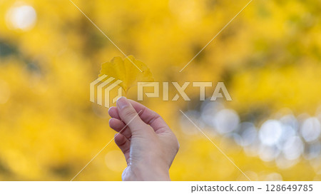 pick up colored leaves 128649785