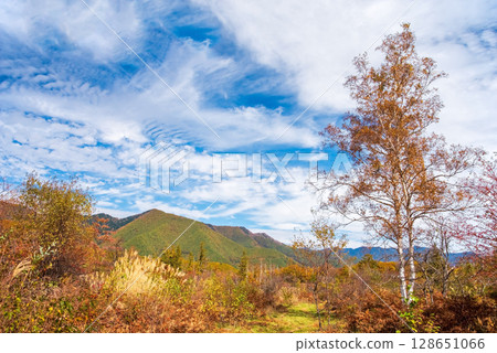【乘鞍高原的秋天】一之瀨庭園的紅葉 128651066