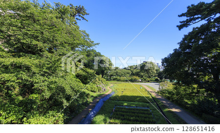 The restored stone walls of Odawara Castle stand out against the blue sky 128651416