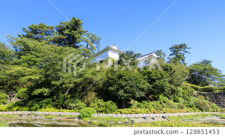 小田原城修復後的石牆在藍天的襯托下格外醒目 128651453