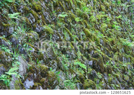 A stone wall with moss A stone wall with moss 128651625
