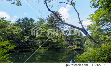 舊輕井澤雲場池的夏天 舊輕井澤雲場池的夏天 128651902