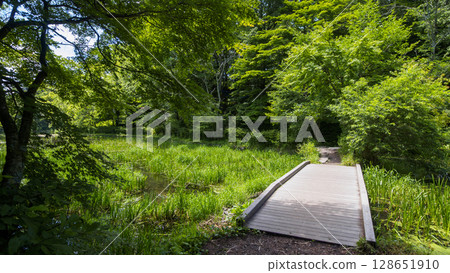 Summer at Kumoba Pond in Old Karuizawa Summer at Kumoba Pond in Old Karuizawa 128651910
