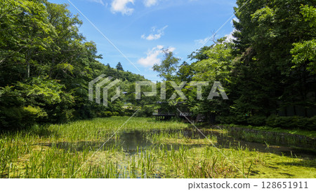 Summer at Kumoba Pond in Old Karuizawa Summer at Kumoba Pond in Old Karuizawa 128651911