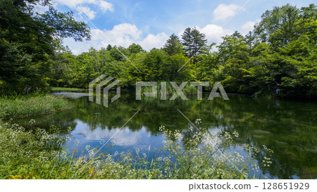 Summer at Kumoba Pond in Old Karuizawa Summer at Kumoba Pond in Old Karuizawa 128651929