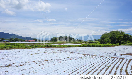信濃鐵道沿線的御代田町的稻田和農場 信濃鐵道沿線的御代田町的稻田和農場 128652181