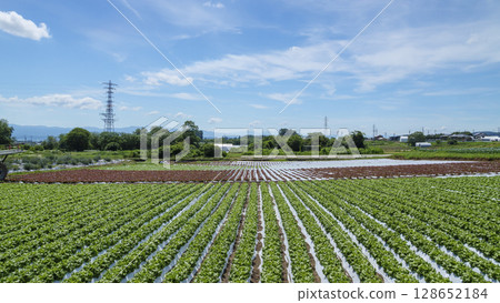 信濃鐵道沿線的御代田町的稻田和農場 信濃鐵道沿線的御代田町的稻田和農場 128652184