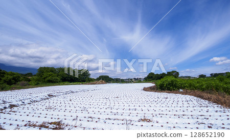 信濃鐵道沿線的御代田町的稻田和農場 信濃鐵道沿線的御代田町的稻田和農場 128652190