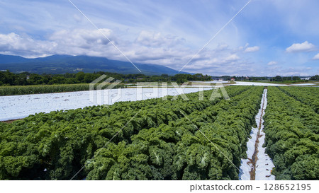 Rice fields and farms in Miyota Town along the Shinano Railway 128652195
