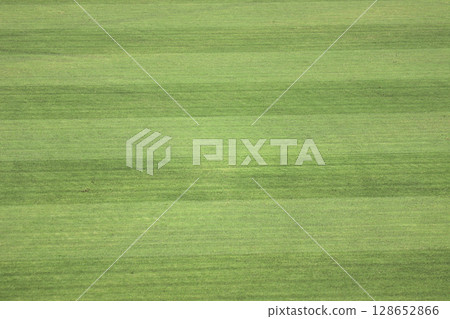 Mazda Stadium Grass Mazda Stadium Grass 128652866