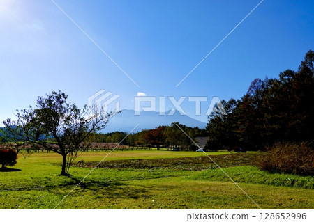 從長野縣木曾郡木曾町開田高原木曾馬村眺望的御嶽山 128652996