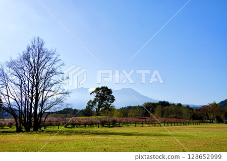 從長野縣木曾郡木曾町開田高原木曾馬村眺望的御嶽山 從長野縣木曾郡木曾町開田高原木曾馬村眺望的御嶽山 128652999