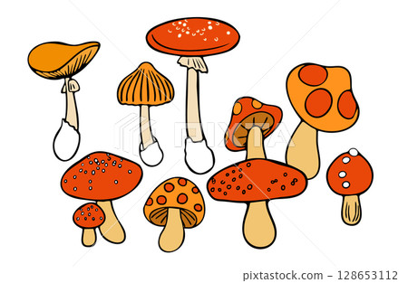 Illustration material - Set of many mushrooms - Color 128653112