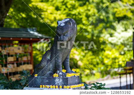 Tokorozawa City, Saitama Prefecture, Tamon-in Temple, Guardian Dogs 128653192