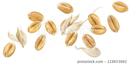 Wheat seeds isolated on white background, falling unpeeled wheat grains collection, macro, full depth of field 128653662