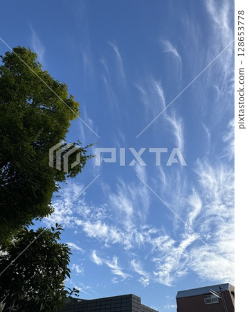 白雲在夏日的天空 白雲在夏日的天空 128653778