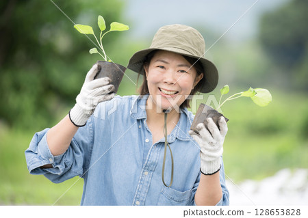 一名婦女在田裡種植茄子幼苗。農民或農業工人的形象。看著相機。 128653828