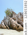 Scenic view of a stunning limestone rock island rising from the turquoise waters of Thailand. Exotic tropical seascape with dramatic cliffs, lush greenery, and crystal-clear ocean 128653892