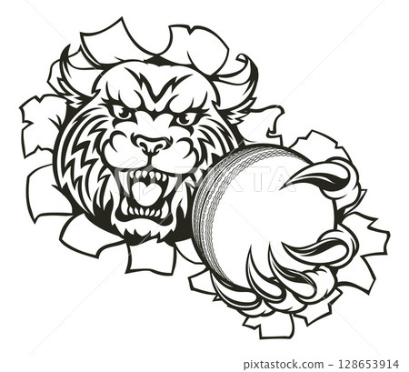 Wildcat Holding Cricket Ball Breaking Background 128653914