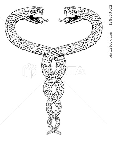 Snakes Two Intertwined Helix Vintage Illustration 128653922