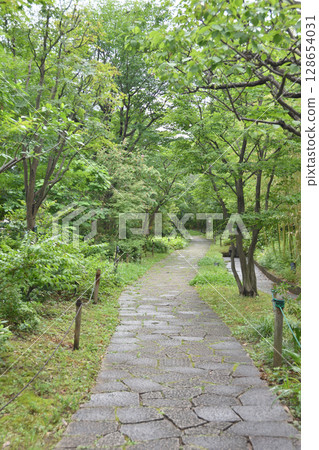 Park's sidewalk Park's sidewalk 128654031