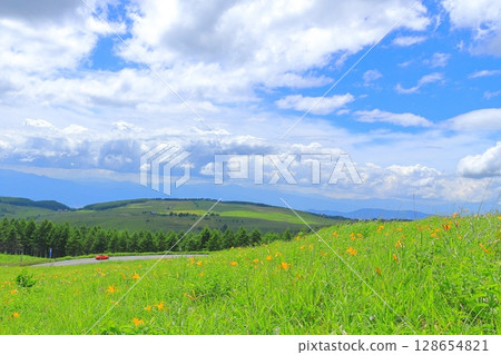 Kirigamine Plateau, Nagano Prefecture Daylily 128654821