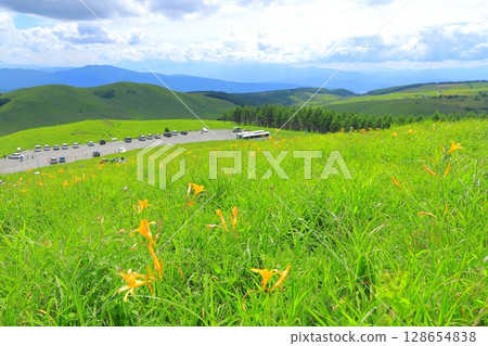 Kirigamine Plateau, Nagano Prefecture Daylily Kirigamine Plateau, Nagano Prefecture Daylily 128654838