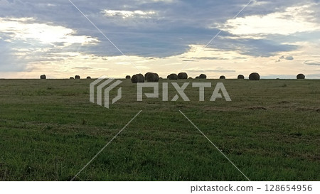 Golden Hay Bales Dotting the Vast Green Field Under a Dramatic Cloudy Sky at Sunset Golden Hay Bales Dotting the Vast Green Field Under a Dramatic Cloudy Sky at Sunset 128654956