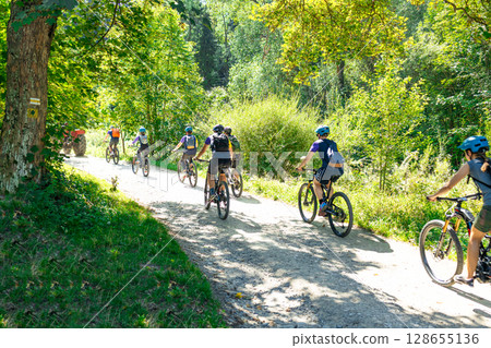 Cyclists Riding on Forest Trail in Summer 128655136