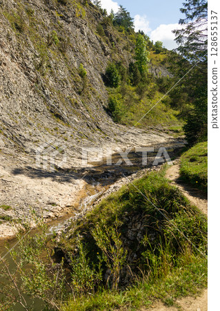 Mountain Stream Winding Through Rocky Forest Landscape Mountain Stream Winding Through Rocky Forest Landscape 128655137