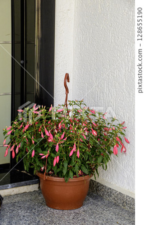 Flowers in pots on the garden 128655190