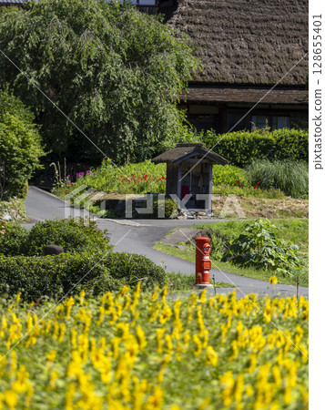 夏季，深山茅葺村的向日葵盛開 128655401