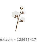 Cotton. A white cotton box. Cotton wool. The ripe fruit of a cotton plant. 128655417