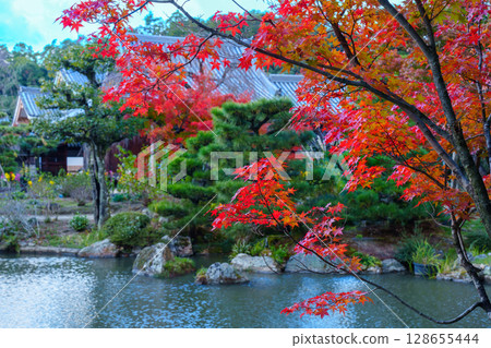 Autumn in Kyoto: Hokongoin Garden, pond and autumn leaves 128655444