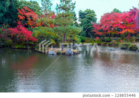 京都的秋天:Hokongoin 花園、池塘和秋葉 京都的秋天:Hokongoin 花園、池塘和秋葉 128655446