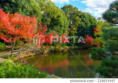Autumn in Kyoto: Hokongoin Garden, pond and autumn leaves 128655447