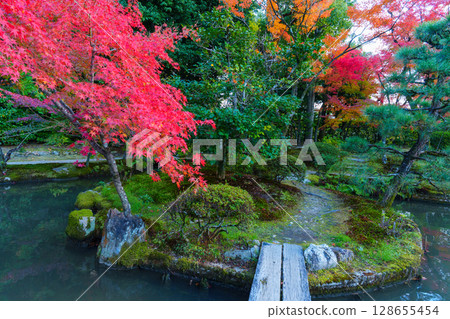 Autumn in Kyoto: Hokongoin Garden, pond and autumn leaves Autumn in Kyoto: Hokongoin Garden, pond and autumn leaves 128655454