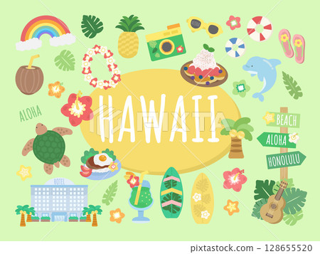 Hawaii illustration set 128655520
