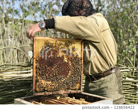 An unknown beekeeper in a black mosquito mask opens a hive containing a queen bee and bees. A bee frame in the hands of a man at an apiary in the summer. The concept of beekeeping An unknown beekeeper in a black mosquito mask opens a hive containing a queen bee and bees. A bee frame in the hands of a man at an apiary in the summer. The concept of beekeeping 128656422