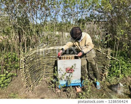 An unknown beekeeper in a black mosquito mask opens a hive containing a queen bee and bees. A bee frame in the hands of a man at an apiary in the summer. The concept of beekeeping An unknown beekeeper in a black mosquito mask opens a hive containing a queen bee and bees. A bee frame in the hands of a man at an apiary in the summer. The concept of beekeeping 128656424