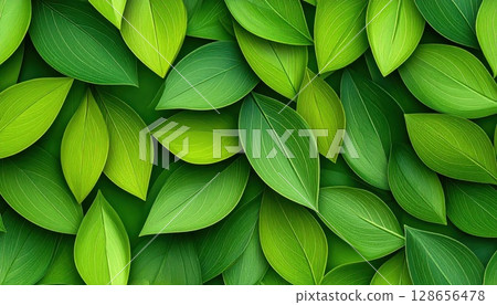 AI圖像：清新綠葉插畫背景 128656478