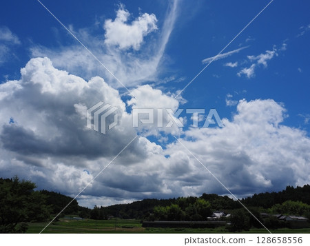 夏日的天空 128658556
