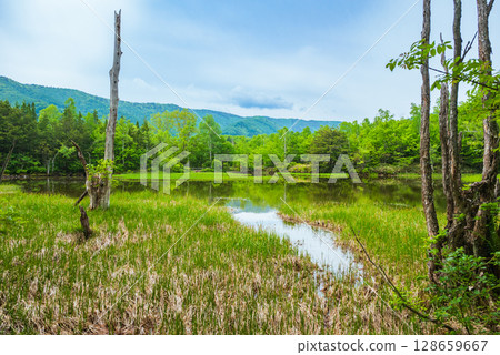 [Ichinose Garden] Azami Pond [Norikura Plateau] 128659667