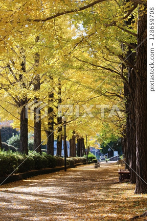 Utsunomiya Station East Park 128659708