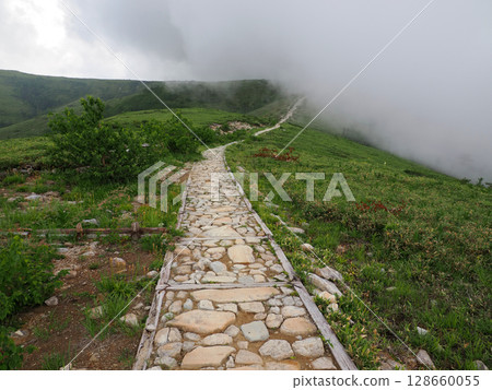 [Mountain scenery] Toyama Prefecture, Oritate to Tarodaira, hiking trail (2025) 128660055