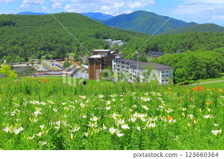 金合歡和花山 128660364