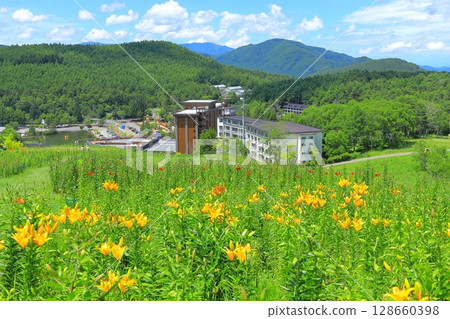 金合歡和花山 128660398