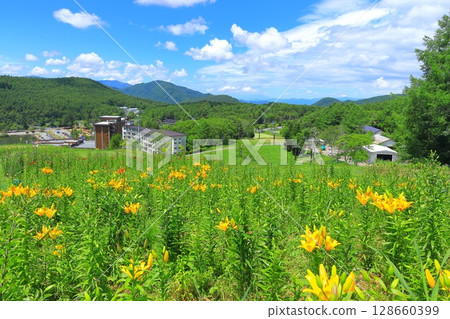 Golden acacia and flower hill 128660399