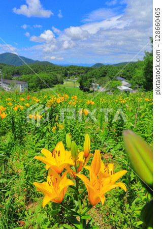 金合歡和花山 金合歡和花山 128660405